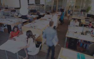 Safety Harbor Web Design Projects