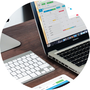Safety Harbor Email Marketing