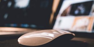 Web Design Services